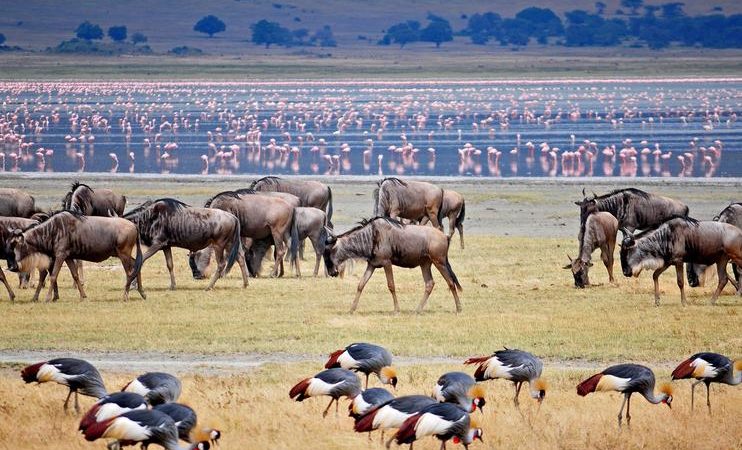 4-Day Big Five Wildlife & Cultural Experience Safari