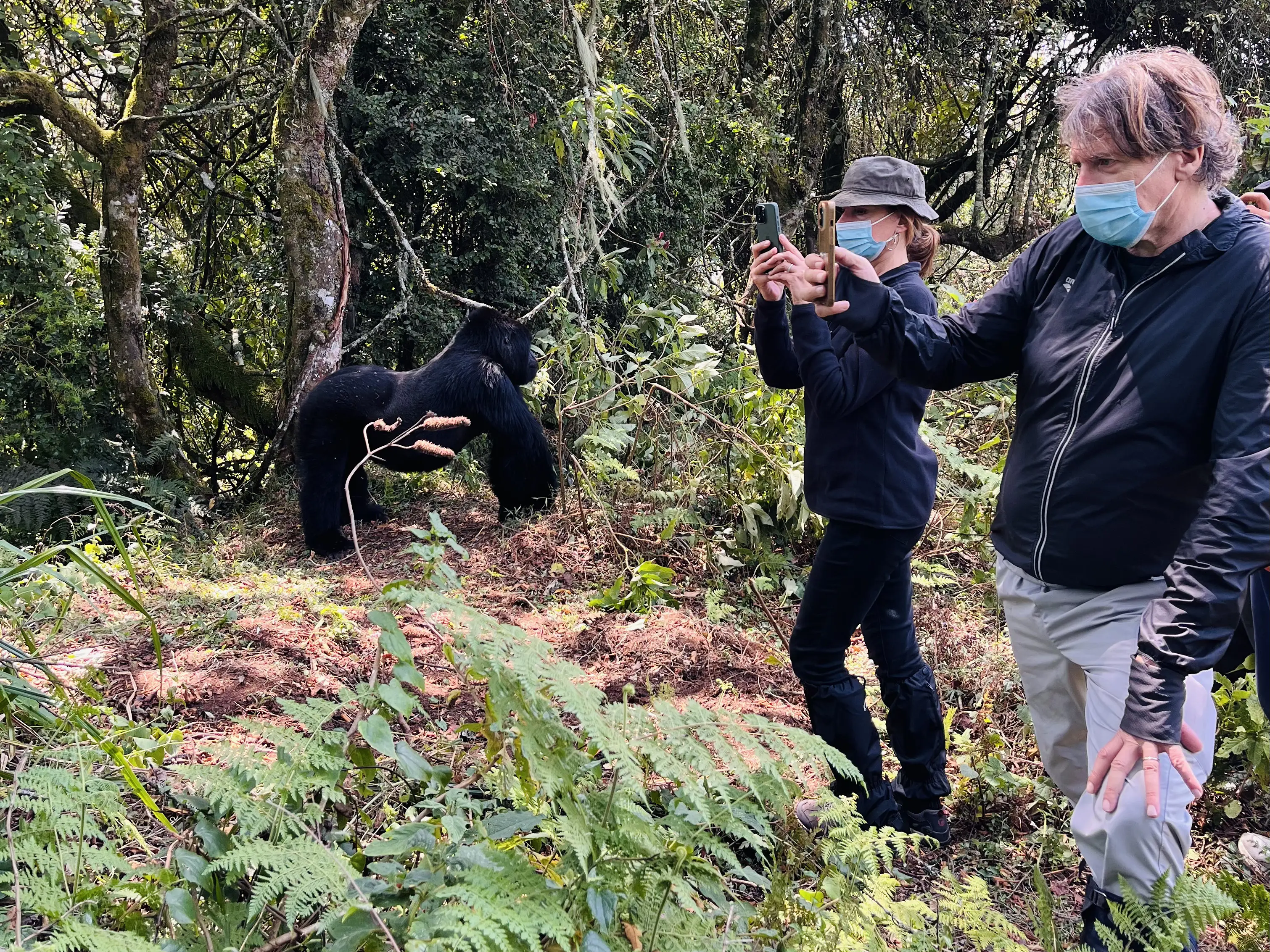 5 Days, Rwanda Wildlife Safari Tour