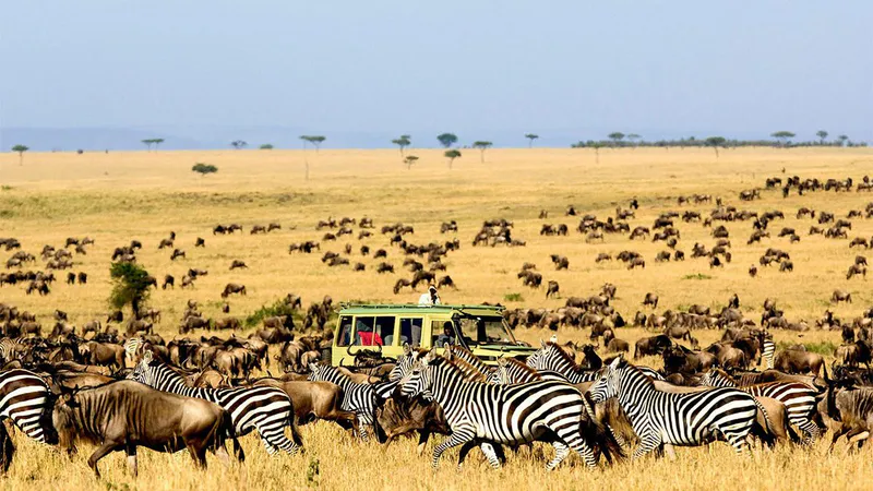 3-Day HONEYMOON SAFARI IN SERENGETI NATIONAL PARK