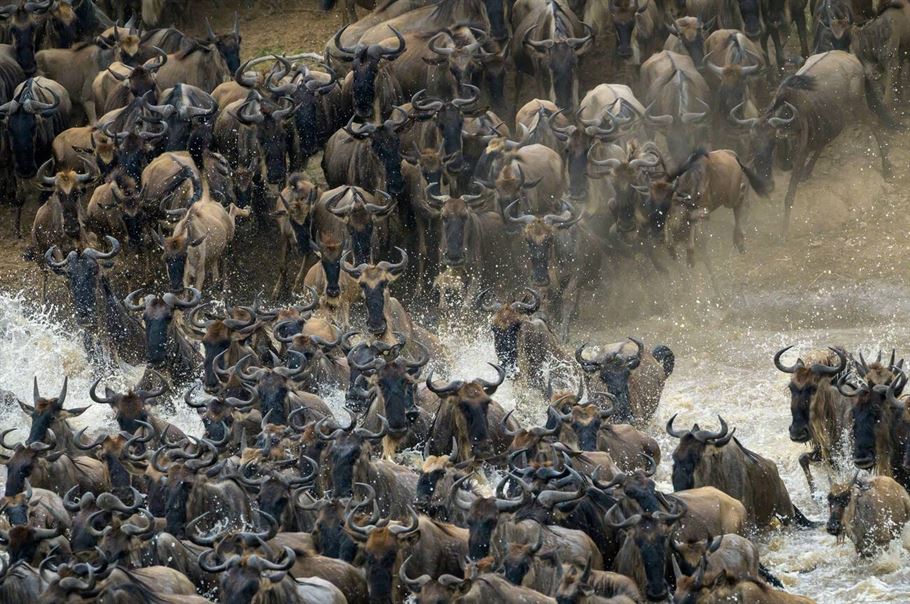 3-Day Private Tanzania Safari Tarangire Ngorongoro