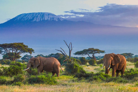 6- Day Mount Kilimanjaro Treking Through Machame Route.