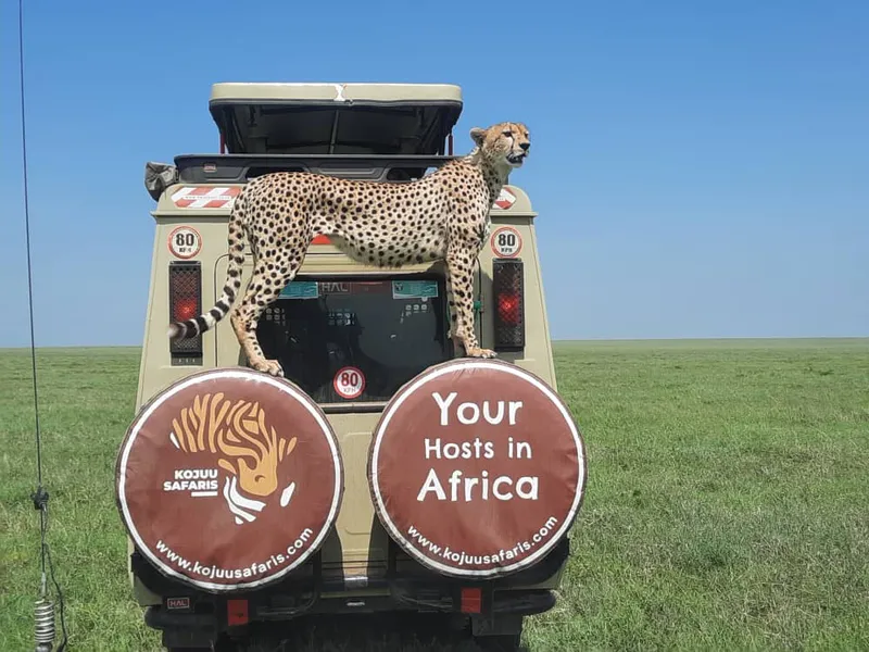 8 days Great Migration program - Exclusive