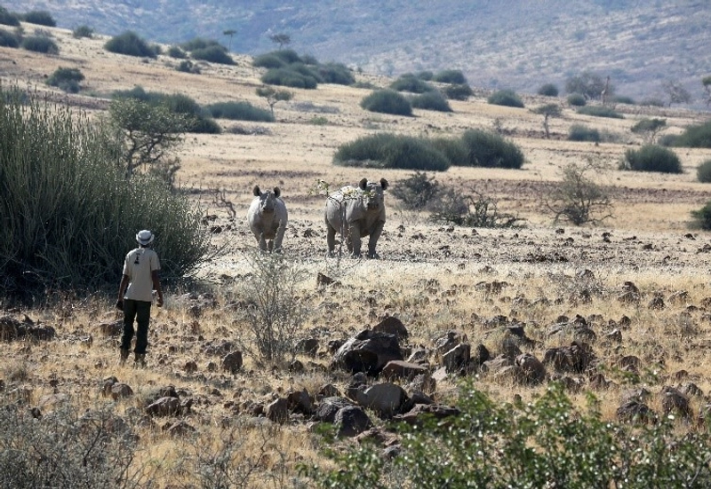 Save the Rhino Trek