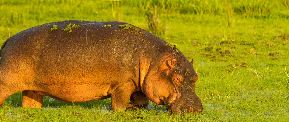 7-Day Kenya Wildlife Adventure & Outdoors Activities Safari