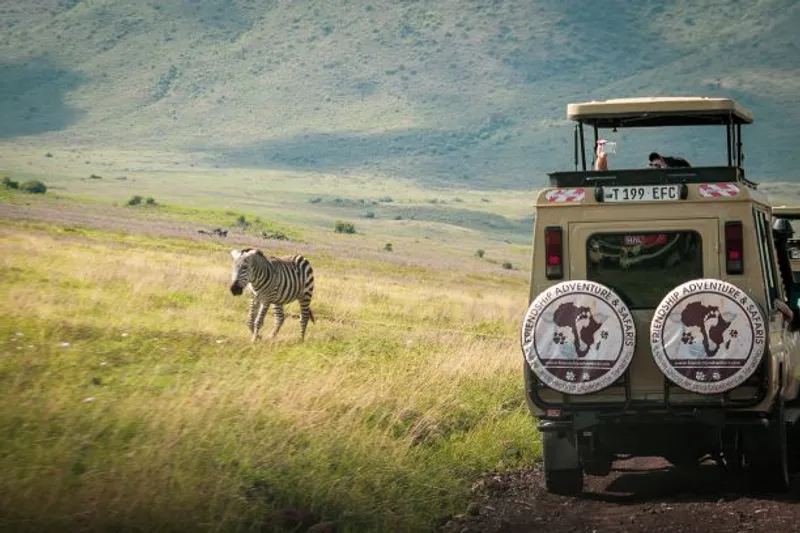 6 DAYS LUXURY SAFARI