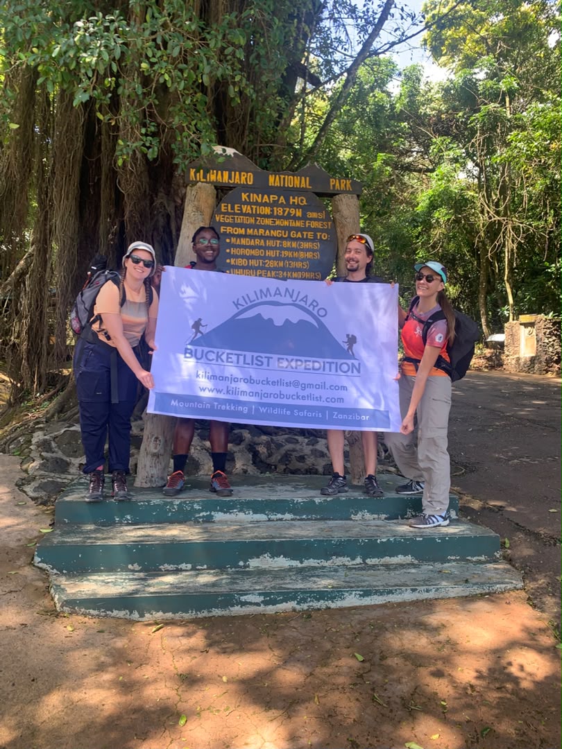 KILIMANJARO DAY TRIP - MARANGU ROUTE