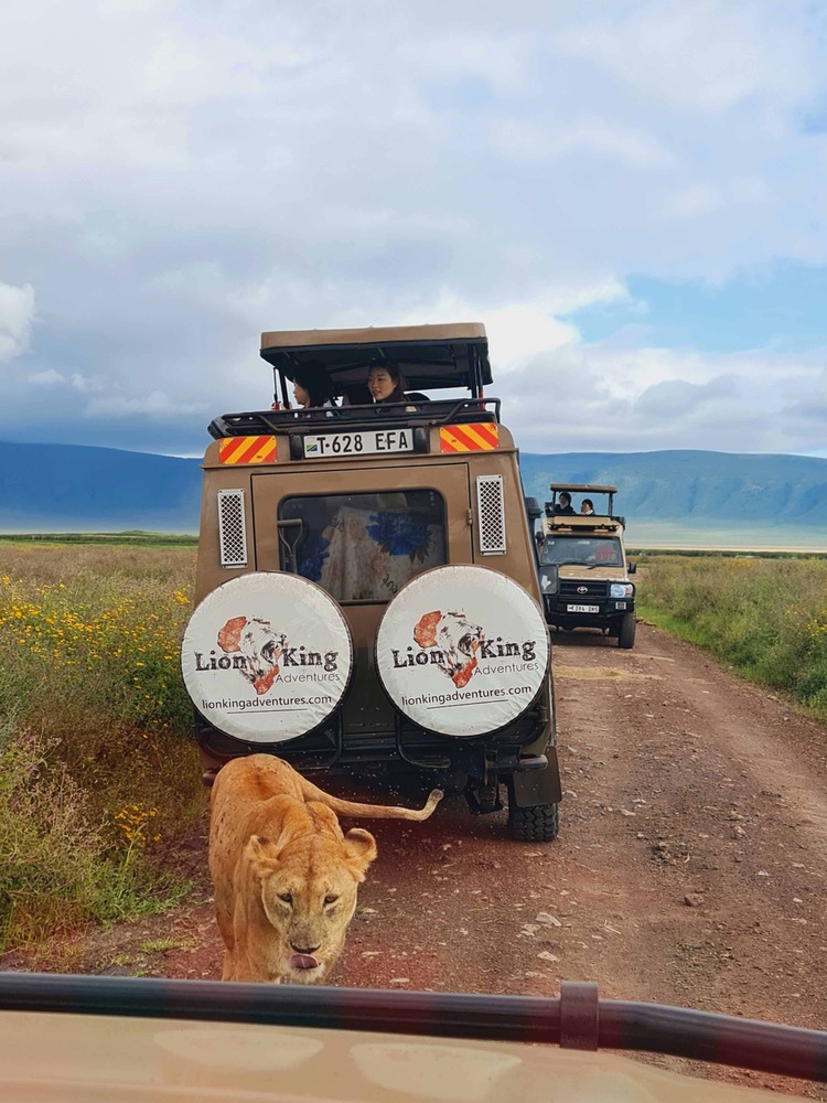 4-Day Luxury Wilderness Safari - Lion King Adventures - Safarigo