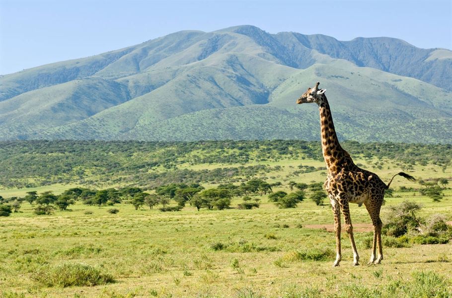 5-Day Tanzania Safari Trip