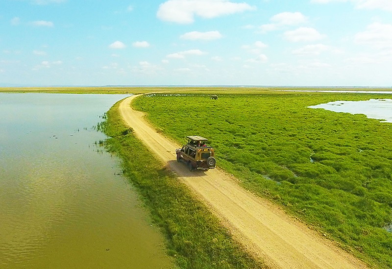 2-Day Amboseli Amazing Safari