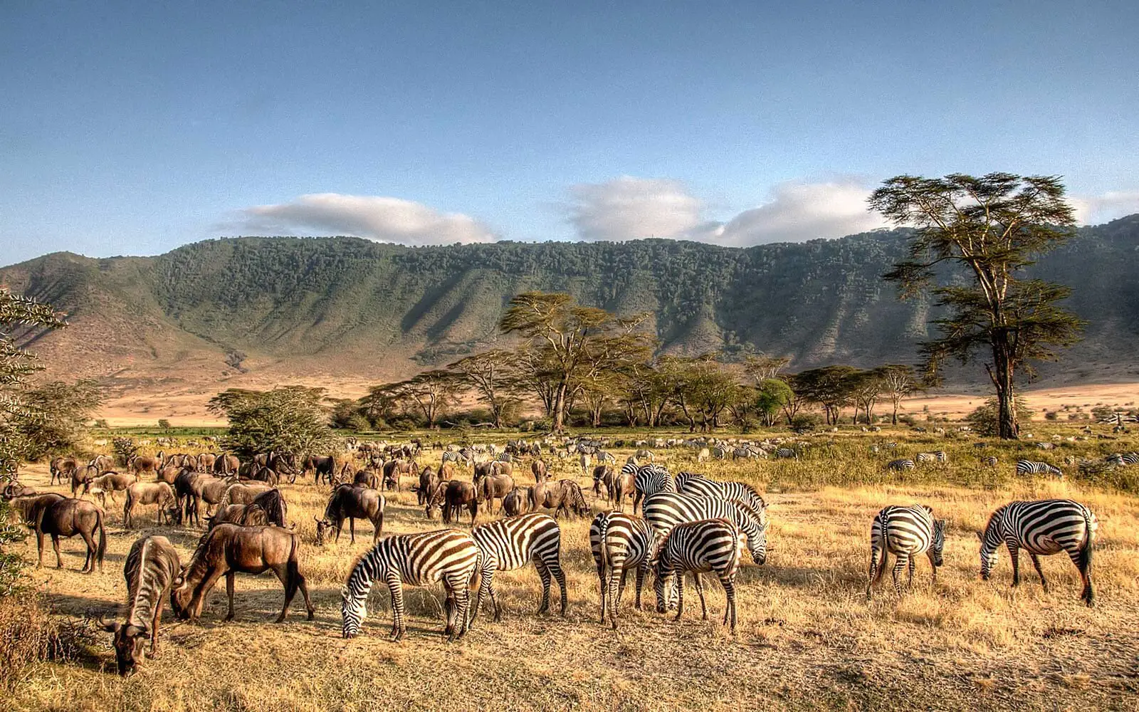 Ngorongoro Crater Day Trip