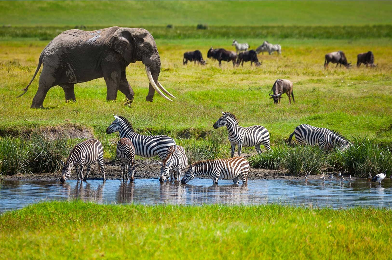 3 Days / 2 Nights Mid-Range Tanzania Safari Itinerary