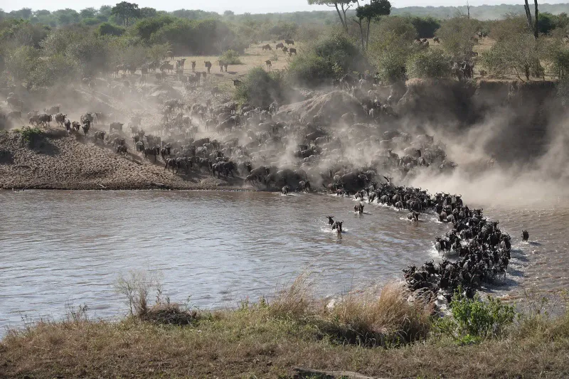 10-Day Great Migration & Cultural Discovery Safari