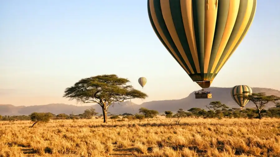 3 Day Tanzania Luxury Safari Tour
