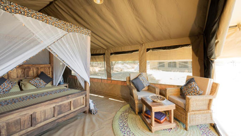 4-Days (Calving Season) - Tarangire, Ndutu, and Ngorongoro Crater