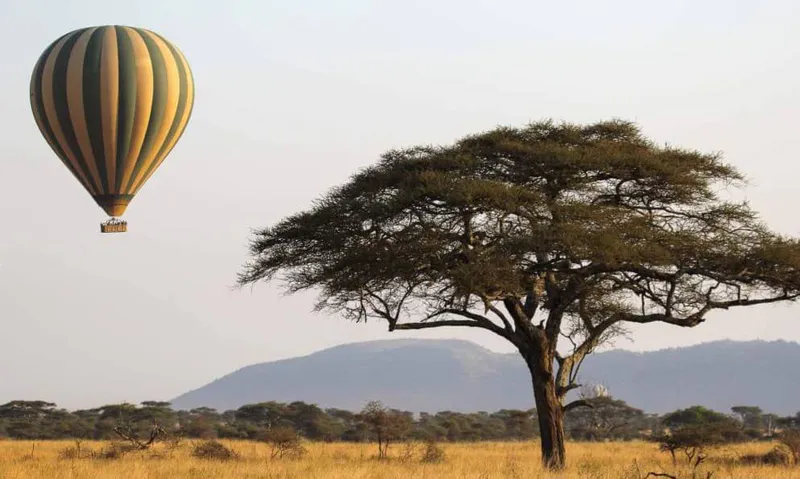 4天-塞伦盖蒂、火山口和乞力马扎罗山