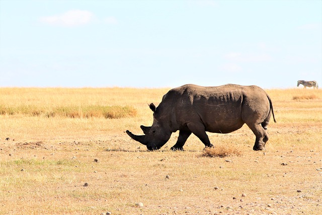3 Days Tanzania lodge safari
