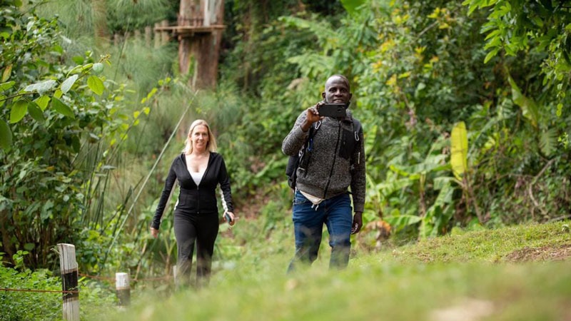 7-Day Rwanda Akagera Wildlife and Chimpanzee Trekking