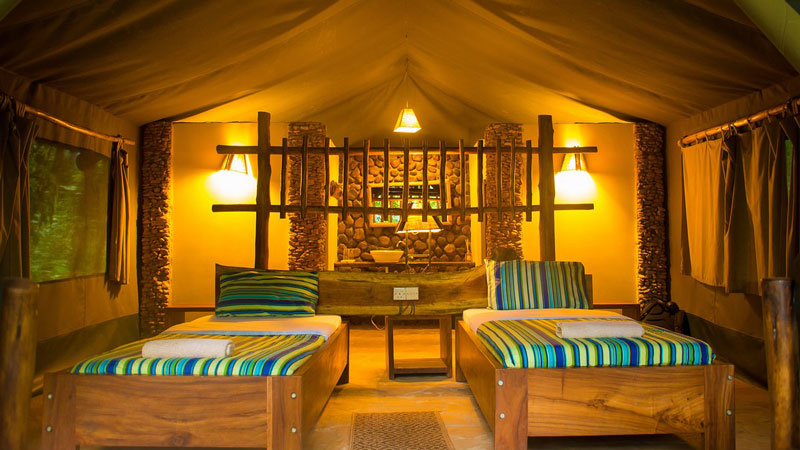 Kibale Forest Camp (Safari Tent)