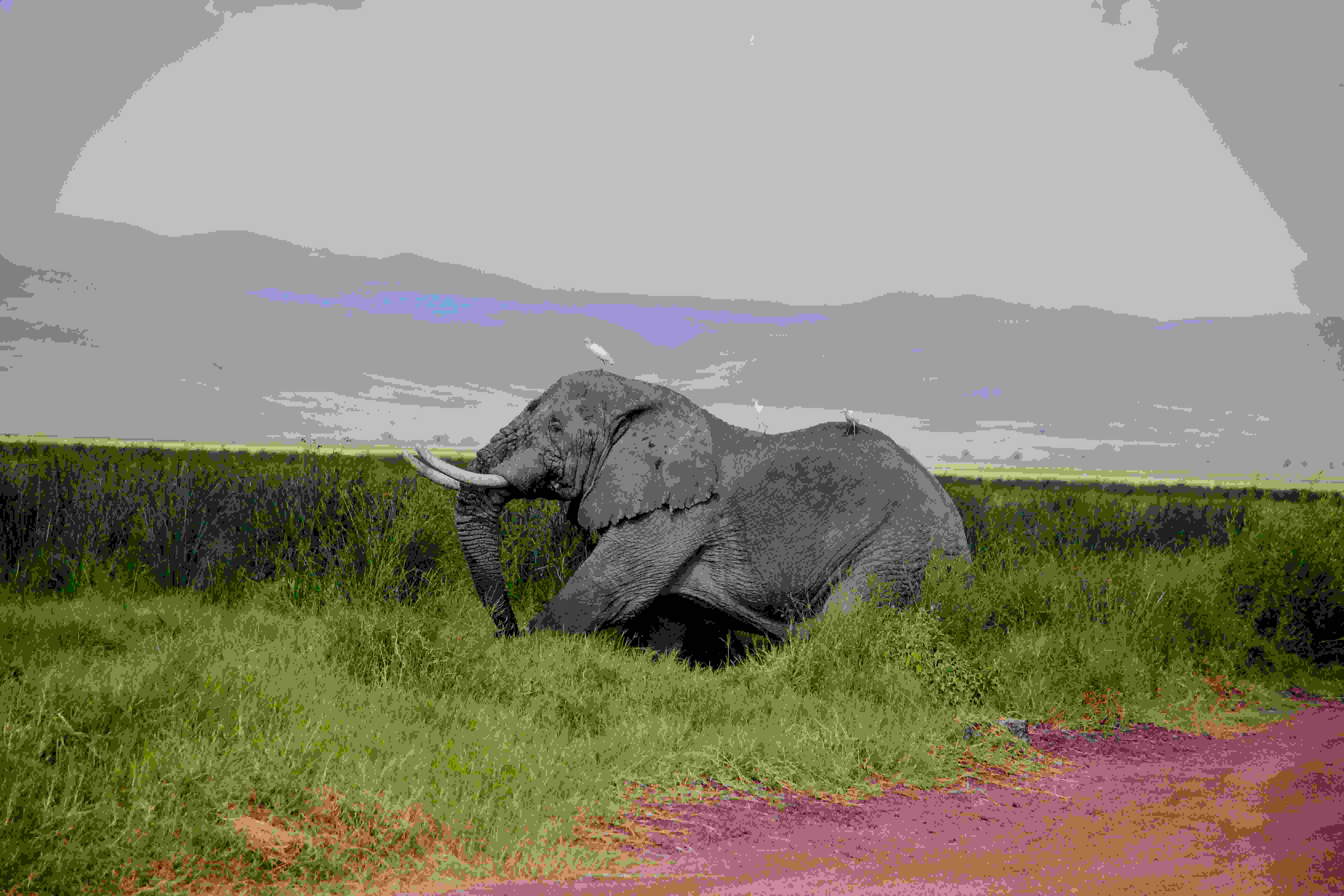 4 Day Adventure in Tanzania