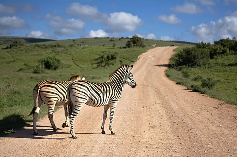 3Days_2Nights Fly in Zanzibar Tarangire_Ngorongoro & Manyara