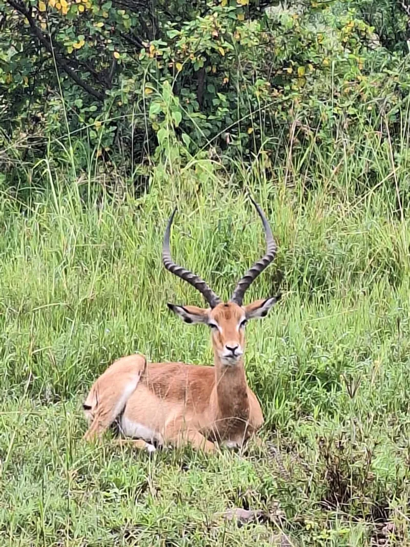 2-Day Fly in Fly out of Tarangire NP & Ngorongoro Crater