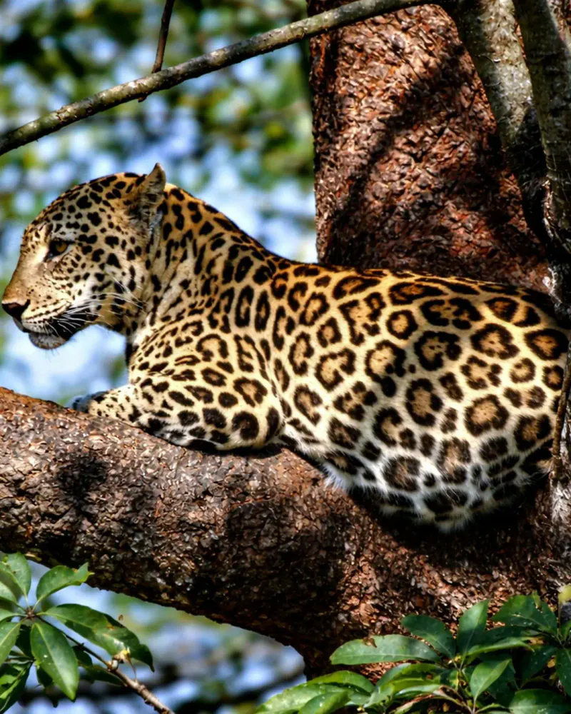 Tanzania Big Five & Beyond – 7 Days Safari