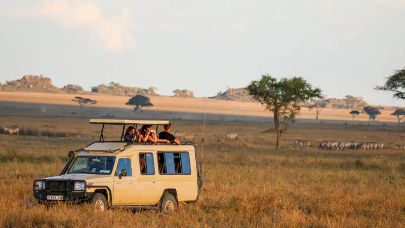 4-Day Tanzania Wildlife and the Bushmen Hunting Trip