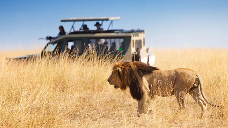 5 Days Midrange Tanzania Safari