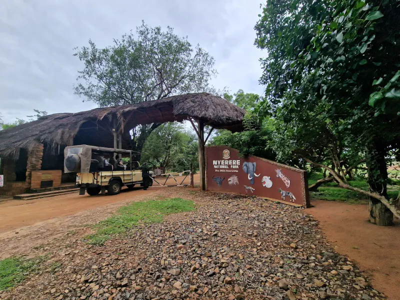 3-Day Nyerere National Park (Selous) Luxury Safari