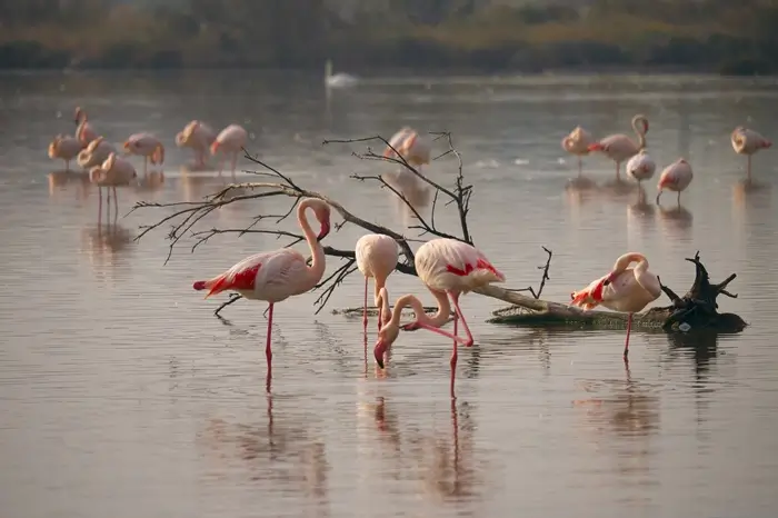 Tanzania Big Five & Beyond – 7 Days Safari
