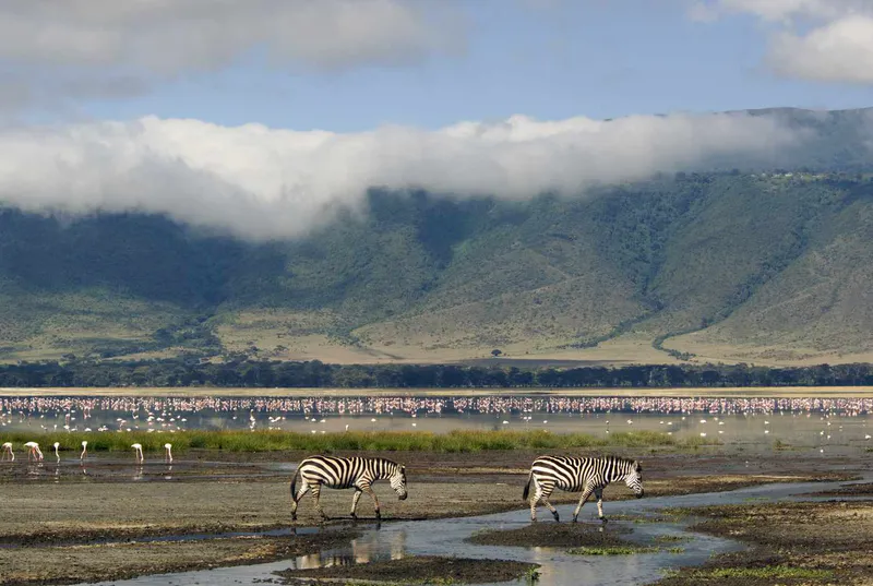 3-Day Best Tarangire, Ngorongoro Crater & Manyara Safari