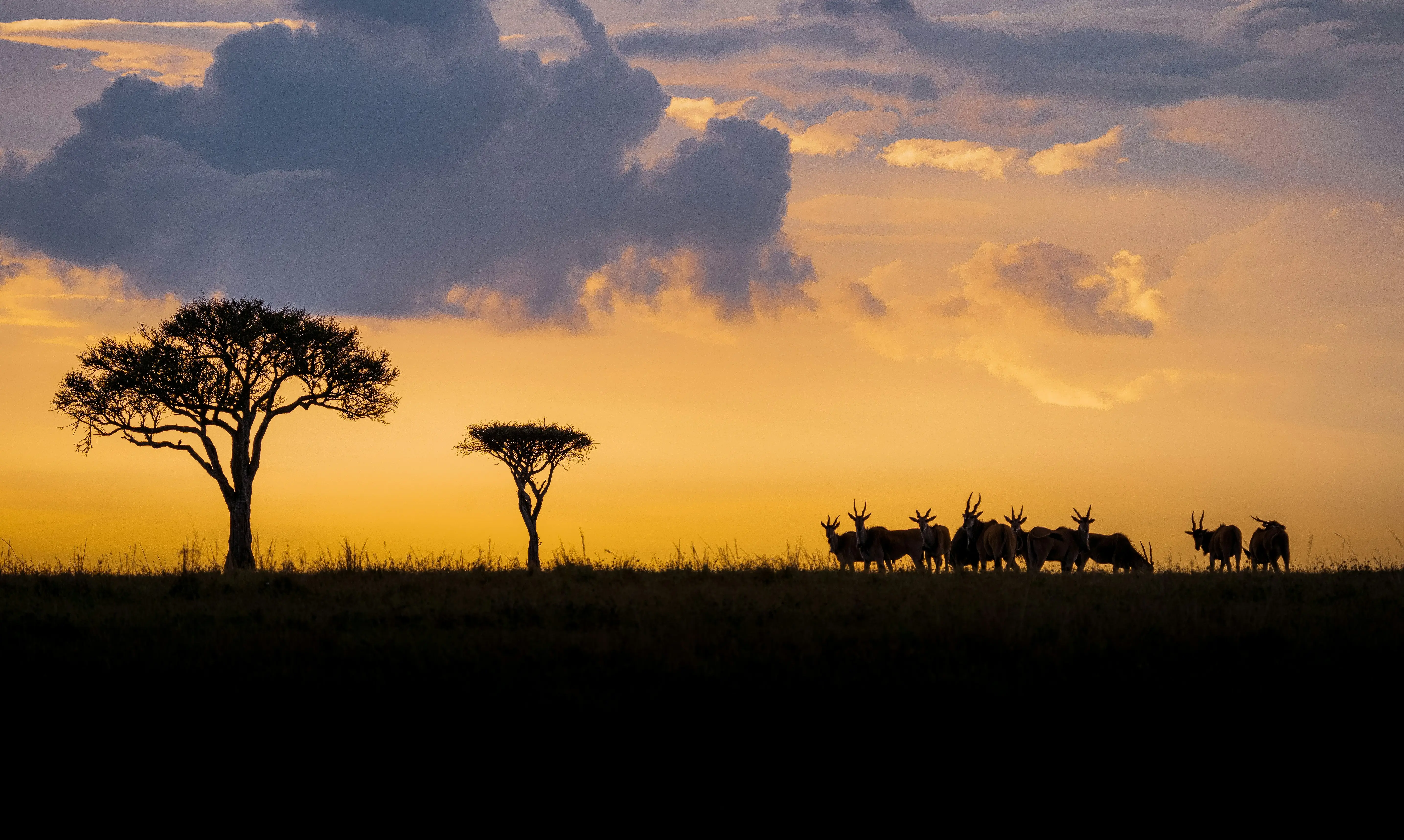 12-Day Explore wonders of Kenya, Tanzania & Zanzibar Family Safari