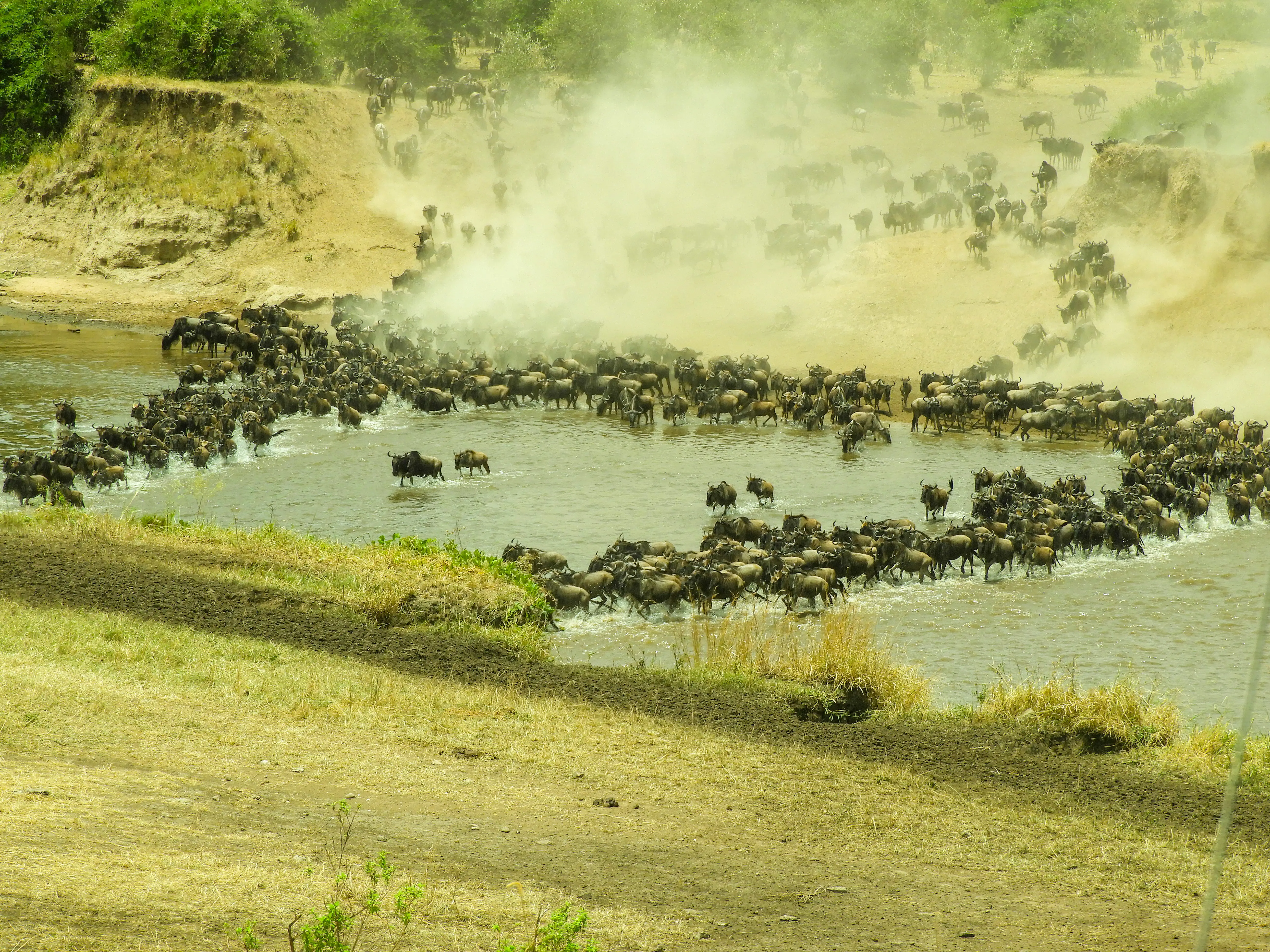 7 Days / 6 Nights Tanzania Group Budget Tour- Classic Safari & Cultural Discovery