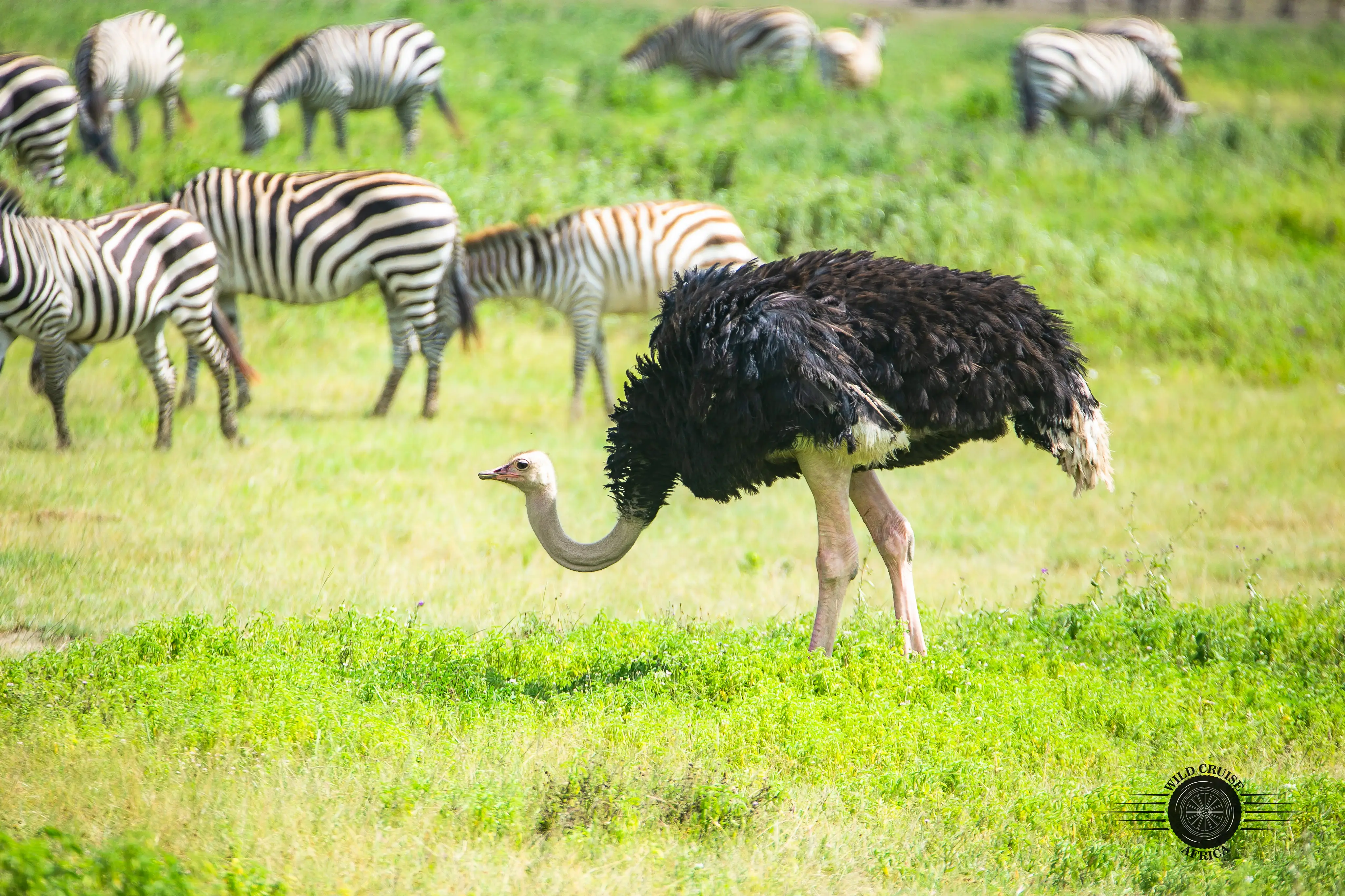 11-Day Culture, Wildlife & Beach Bliss