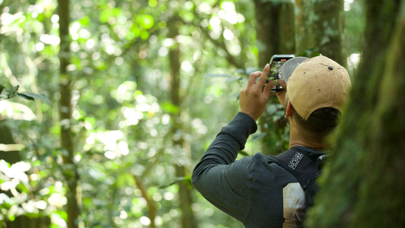 17-Day Rwanda, Uganda and Kenya Wildlife Vacation Tour