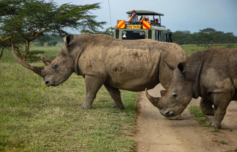 5-Day Great Rift Valley & Maasai Mara Explorer Safari