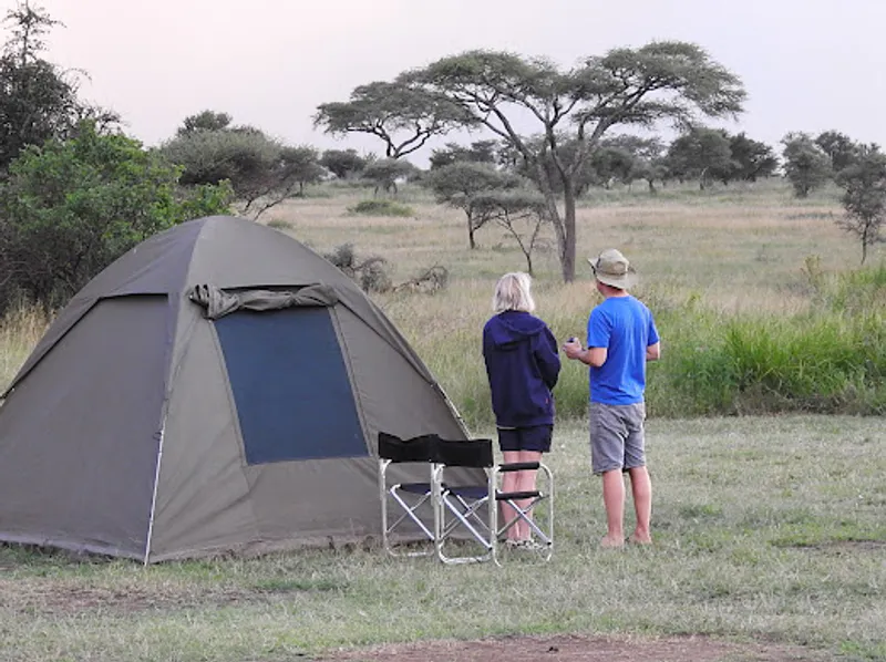 3 Days Budget Camping Safari to Serengeti and Ngorongoro Crater