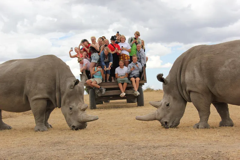 3-Day Mid - Range 4x4 Jeep at Sweetwaters Ol Pejeta