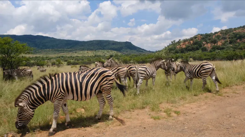 4 Days Crater Highlands to Bushmen Lands Ngorongoro Serengeti and Lake Eyasi Cultural Safari