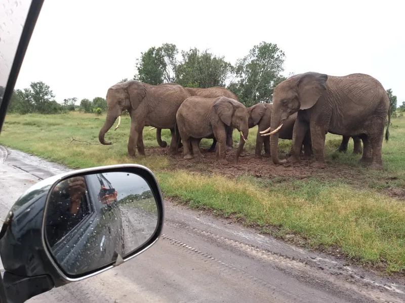 7 Days Migration for wildbeest in Serengeti Ngorongoro Crater Safaris