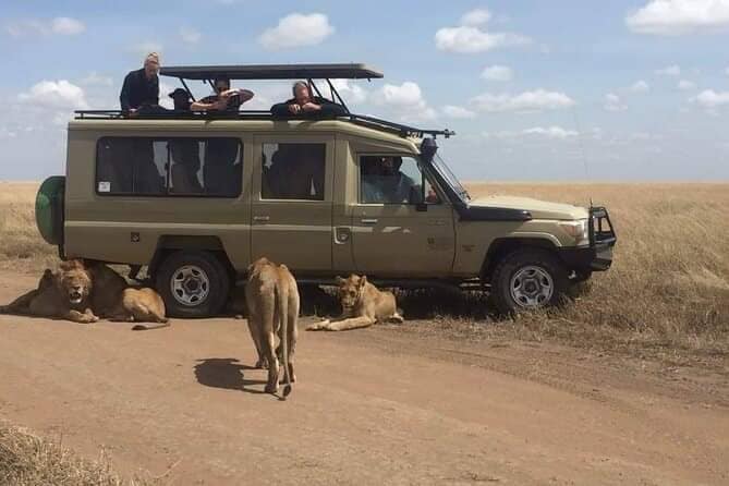 5 Days of Wildlife Magic – Amboseli, Lake Nakuru & Masai Mara Safari