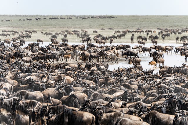 3-Day Magical Tanzania Expedition Safari