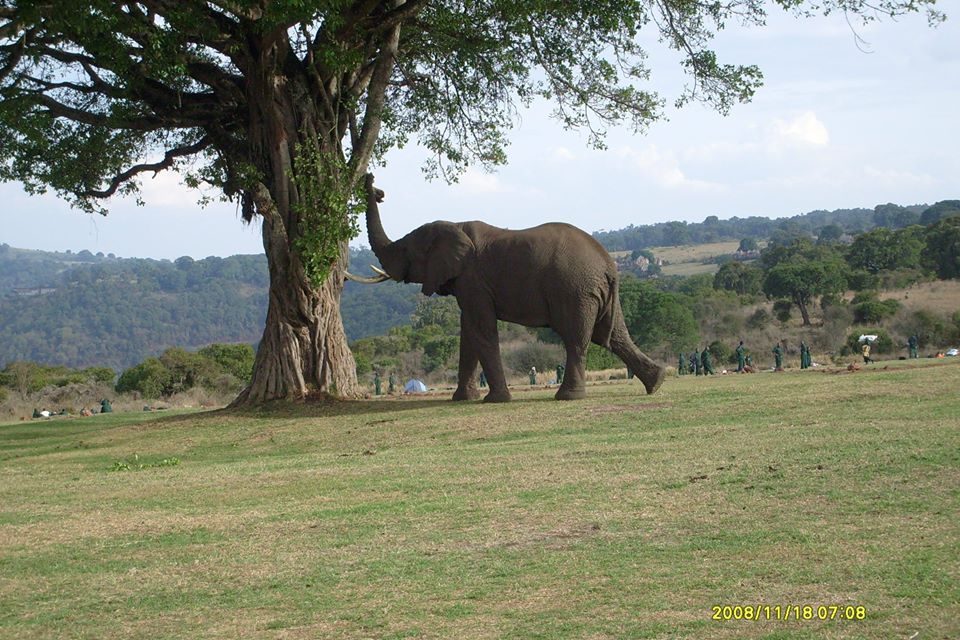 3 Days / 2 Nights Mid-Range Tanzania Safari Itinerary
