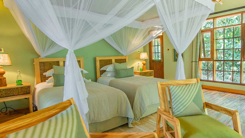 Primate Lodge Kibale