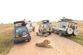 2-Days trip to Akagera National Park