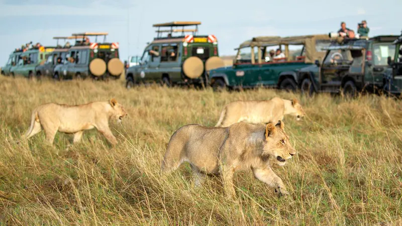 3 Day Maasai Mara