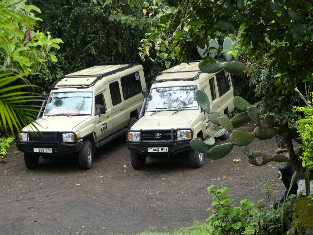 2-Day Short Camping Safari Tarangire & Ngorongoro