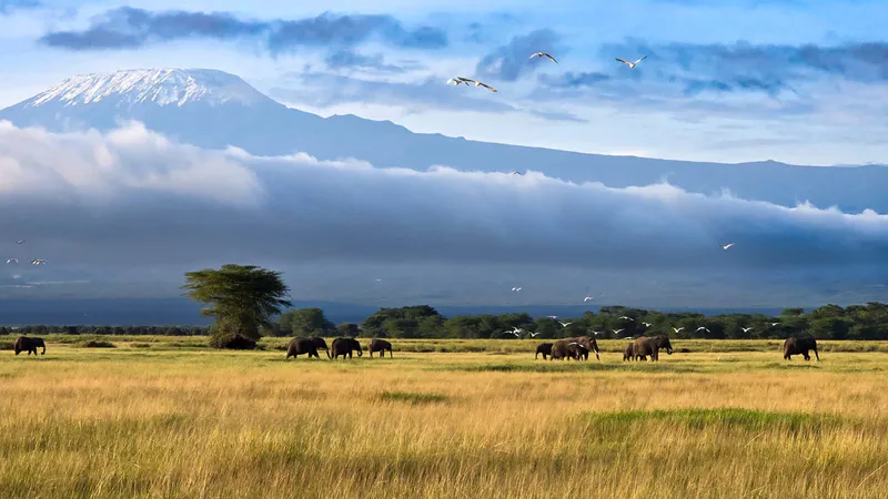 7-Day Kenya Sopa Lodges Mid-Range 4x4 Jeep Safari Adventure
