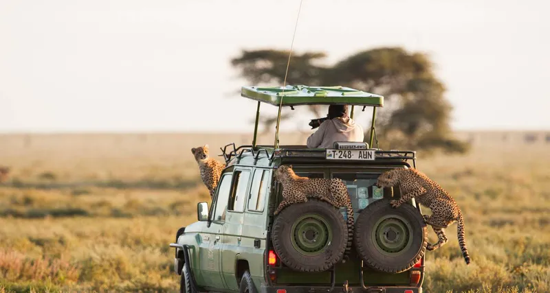 5-Day Serengeti, Ngorongoro Crater & Tarangire Fly in, Fly Out