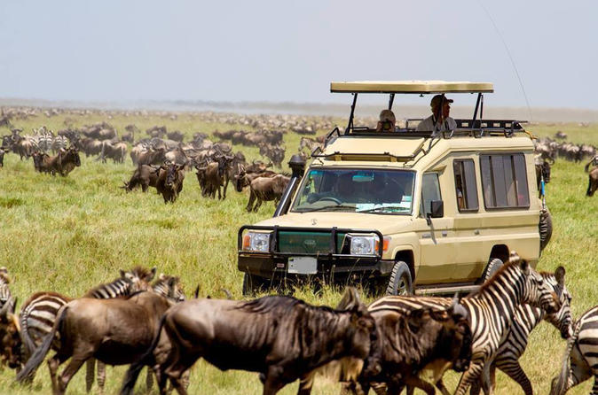 7-Days Tanzania Private Wildlife Safari and Zanzibari Beach.